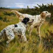 Oil Painting Reproductions of Thomas Blinks