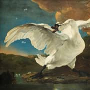 Oil Painting Reproductions of Jan Asselijn