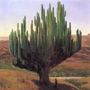 Oil Painting Reproductions of Jose Maria Velasco