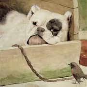 Oil Painting Reproductions of Cecil Aldin