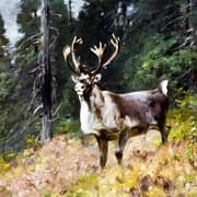 Oil Painting Reproductions of Carl Rungius