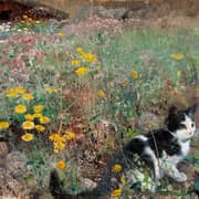Oil Painting Reproductions of Bruno Liljefors